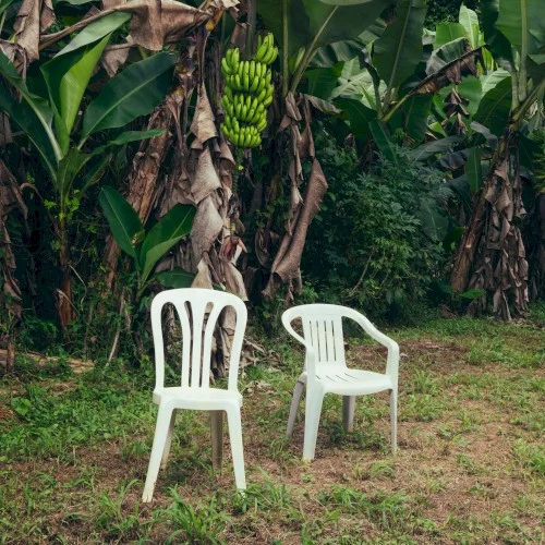 DeBÍ TiRAR MáS FOToS album cover by Bad Bunny, released January 5, 2025