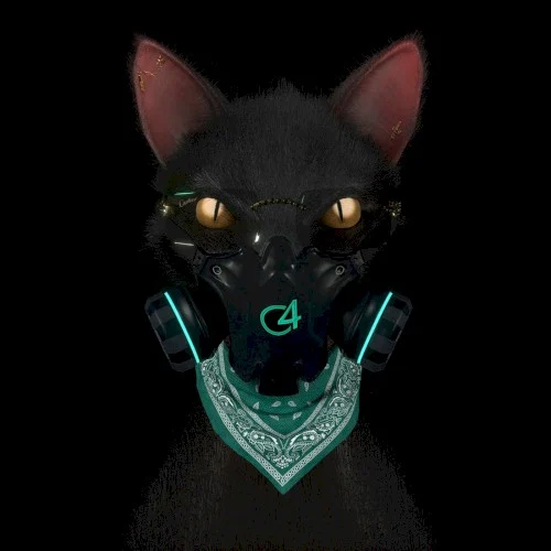 Bad Bunny: Gato de noche single cover