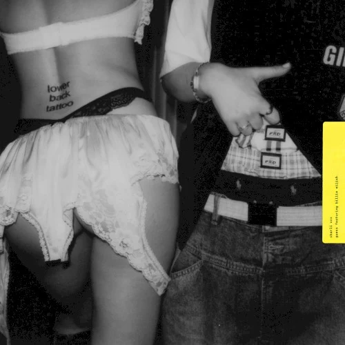 Billie Eilish: Guess remix album cover