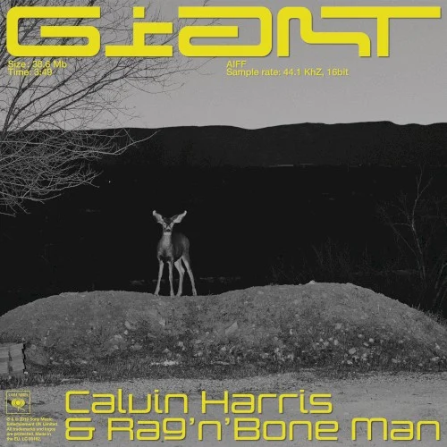 Calvin Harris: Giant single cover