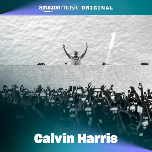 This Is What You Came For (Calvin Harris VIP mix) single cover by Calvin Harris, released November 15, 2024 on Columbia