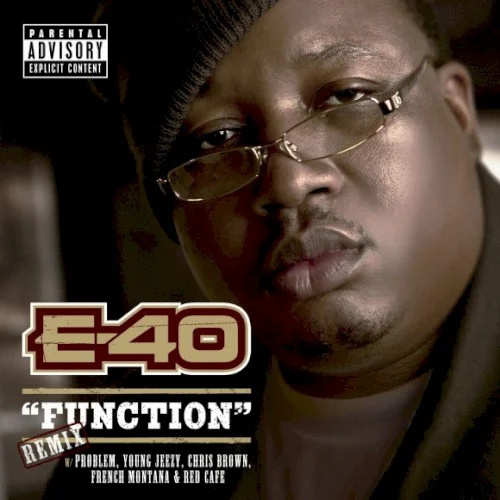 Function (remix) remix album cover by Chris Brown, released July 6, 2012 on Heavy on the Grind Entertainment