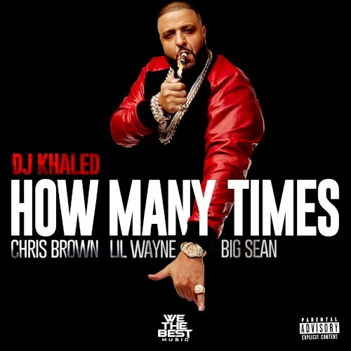 How Many Times single cover by Chris Brown, released May 12, 2015 on We the Best Music