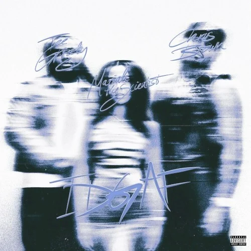 IDGAF single cover by Chris Brown, released September 8, 2023 on 300 Entertainment