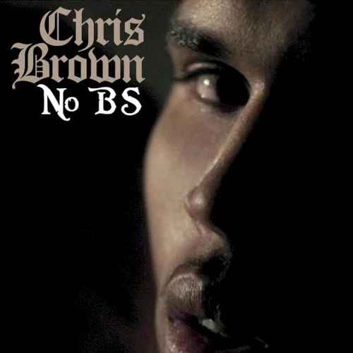 No Bullshit single cover by Chris Brown, released January 18, 2011