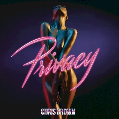 Privacy single cover by Chris Brown, released March 24, 2017 on RCA