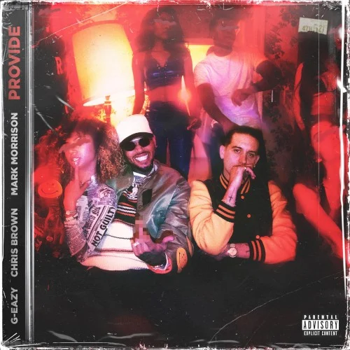 Provide single cover by Chris Brown, released February 5, 2021 on BPG, RCA, RVG