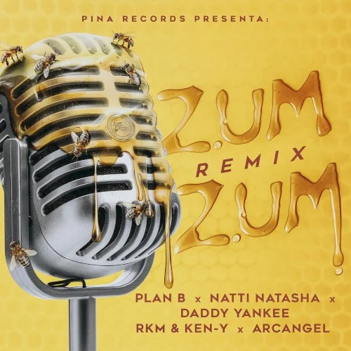 Zum zum (remix) remix album cover by Daddy Yankee, released October 19, 2018 on Pina Records