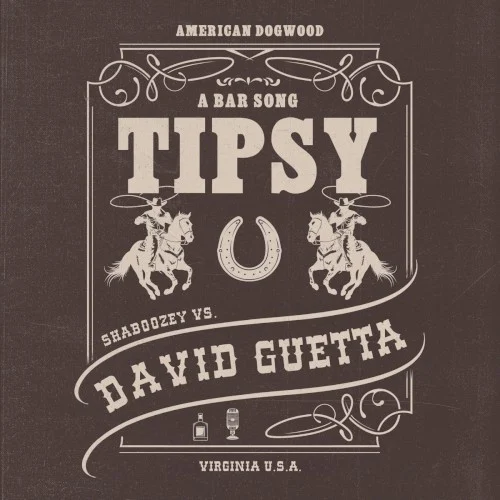 A Bar Song (Tipsy) [Remix] remix album cover by David Guetta, released April 14, 2024