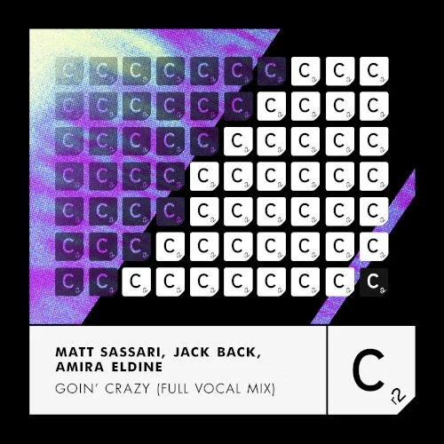 Goin' Crazy (Full vocal mix) single cover by David Guetta, released February 27, 2026