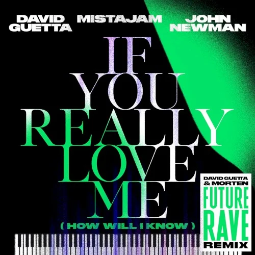 If You Really Love Me (How Will I Know) (David Guetta & MORTEN Future Rave remix) remix album cover by David Guetta, released August 6, 2021