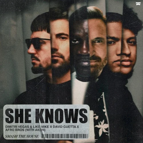 She Knows single cover by David Guetta, released July 20, 2023