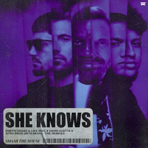 She Knows (the remixes) remix album cover by David Guetta, released December 29, 2023