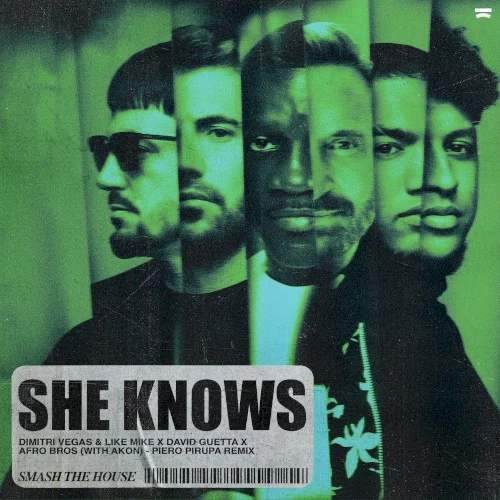She Knows (with Akon) [Piero Pirupa remix] remix album cover by David Guetta, released October 6, 2023