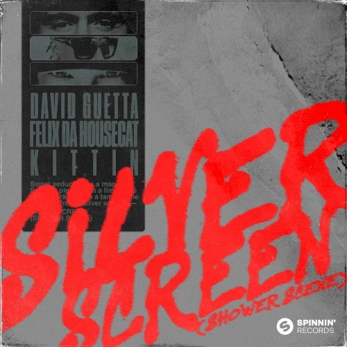Silver Screen (Shower Scene) single cover by David Guetta, released February 23, 2022