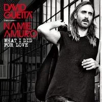 What I Did for Love single cover by David Guetta, released January 19, 2015