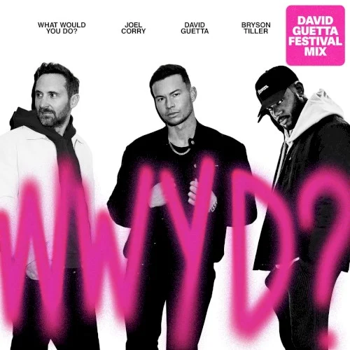 What Would You Do? (David Guetta Festival mix) remix album cover by David Guetta, released April 28, 2022