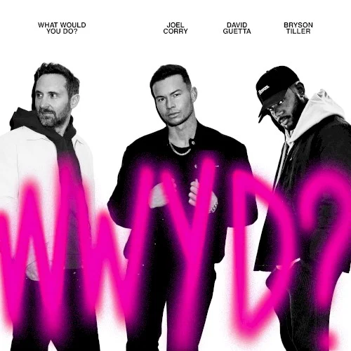 What Would You Do? single cover by David Guetta, released March 18, 2022