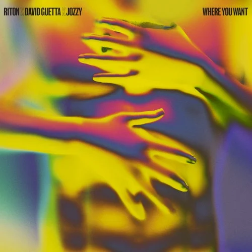 Where You Want single cover by David Guetta, released June 9, 2023
