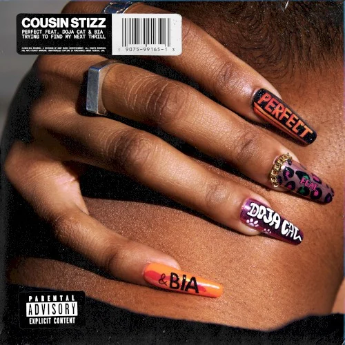 Perfect (remix) remix album cover by Doja Cat, released February 14, 2020 on RCA
