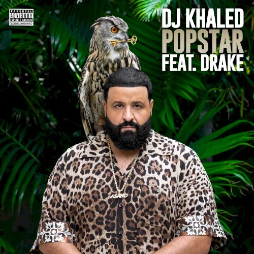 Drake: POPSTAR single cover