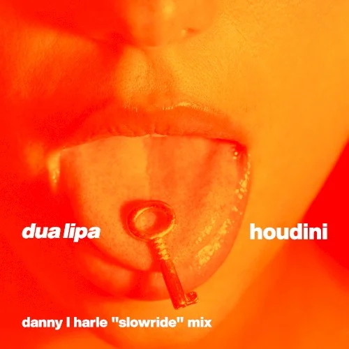 Houdini (Danny L Harle “Slowride” mix) remix album cover by Dua Lipa, released January 19, 2024 on Warner Records