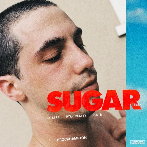 SUGAR (remix) remix album cover by Dua Lipa, released March 6, 2020 on RCA, Question Everything