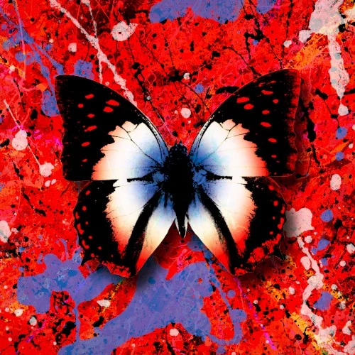 Ed Sheeran: 2step single cover