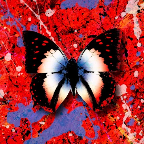 Ed Sheeran: 2step: The Remixes remix album cover