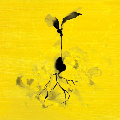 Ed Sheeran: Life Goes On remix album cover