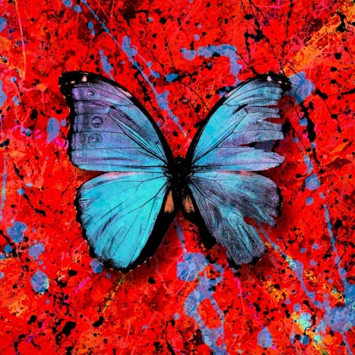 Ed Sheeran: Visiting Hours single cover