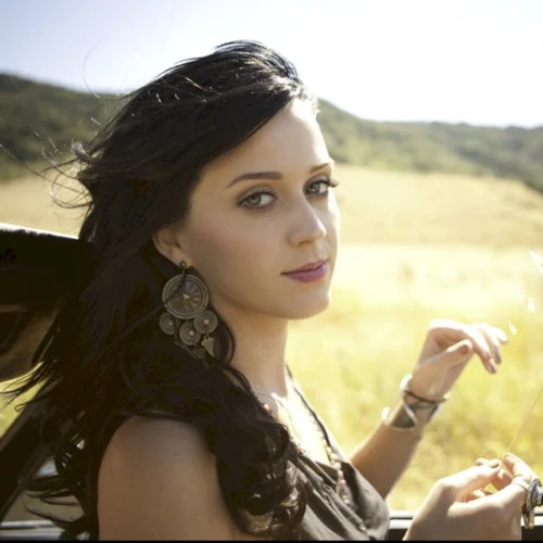 Katy Perry: Not Like the Movies single cover
