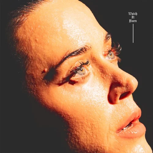 Katy Perry: Watch It Burn single cover