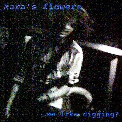 …We Like Digging? album cover by Maroon 5, released September 16, 1994