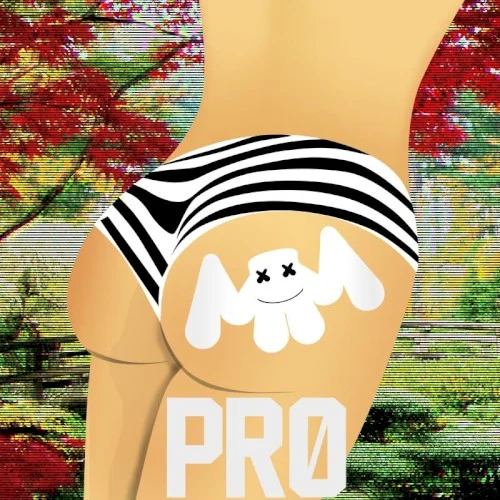 Pr0 single cover by Marshmello, released March 4, 2015
