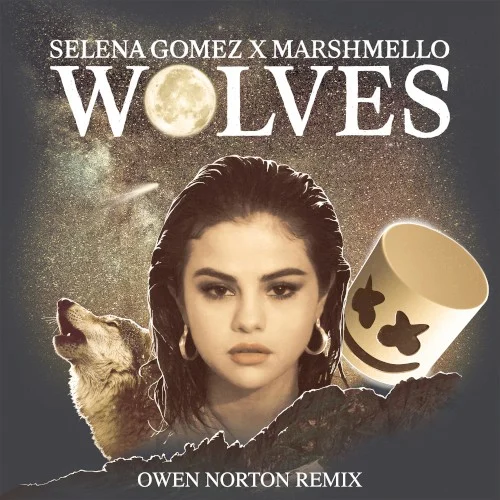 Wolves (Owen Norton remix) remix album cover by Marshmello, released February 23, 2018 on Interscope Records