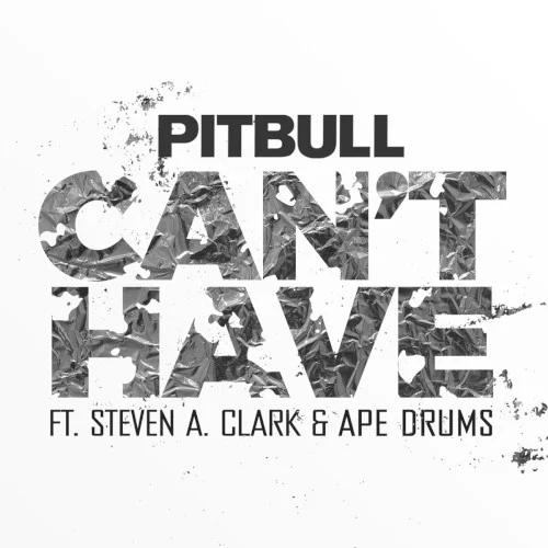 Pitbull: Can’t Have single cover