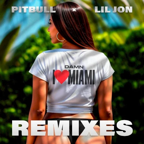 Pitbull: Damn I Love Miami (remixes) remix album cover