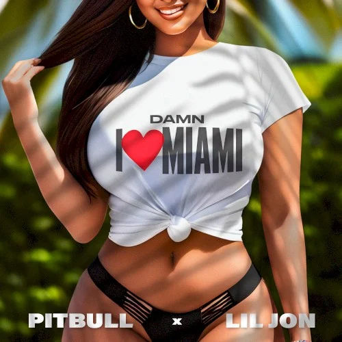 Pitbull: Damn I Love Miami single cover