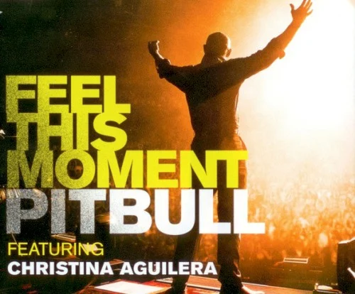 Pitbull: Feel This Moment single cover