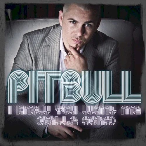 Pitbull: I Know You Want Me (Calle Ocho) single cover