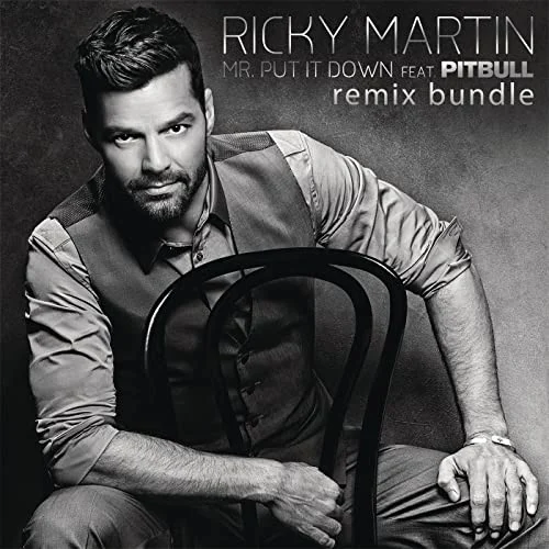 Pitbull: Mr. Put It Down (Remixes) remix album cover