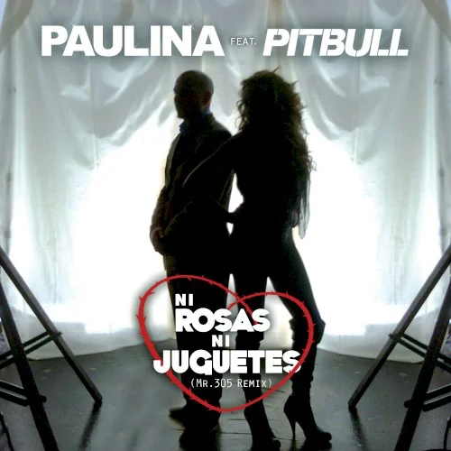 Pitbull: Ni rosas, ni juguetes (Mr. 305 remix) remix album cover