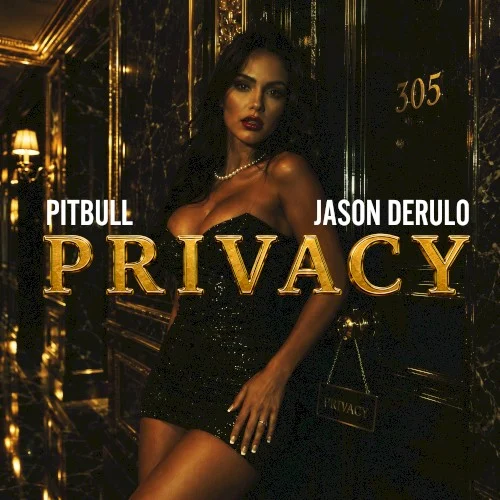 Pitbull: Privacy single cover