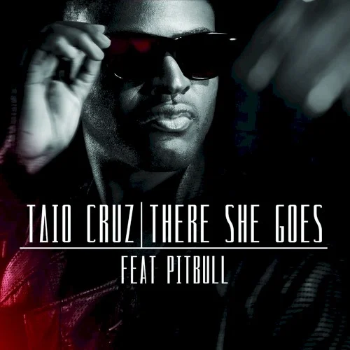 Pitbull: There She Goes single cover
