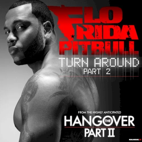 Pitbull: Turn Around, Part 2 single cover
