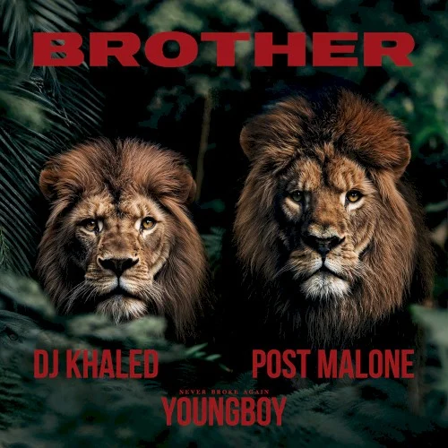 Post Malone: Brother single cover