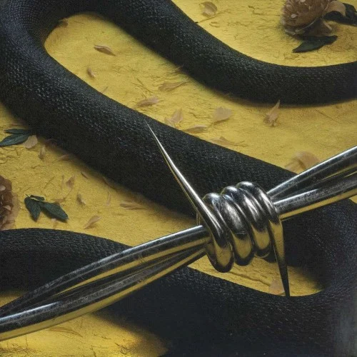 Post Malone: rockstar single cover
