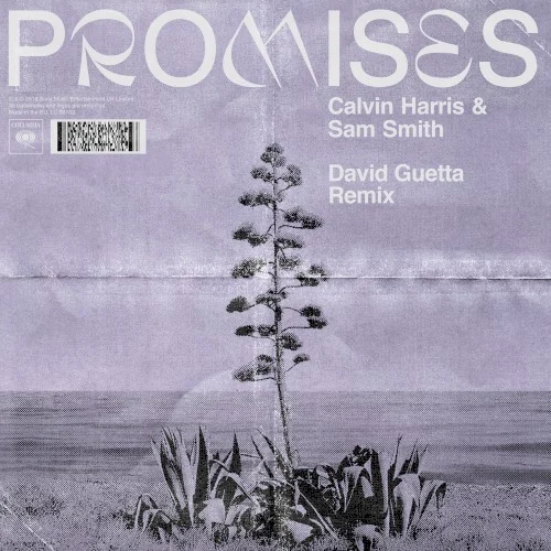Promises (David Guetta remix) remix album cover by Sam Smith, released October 12, 2018 on Columbia, Sony Music Entertainment UK