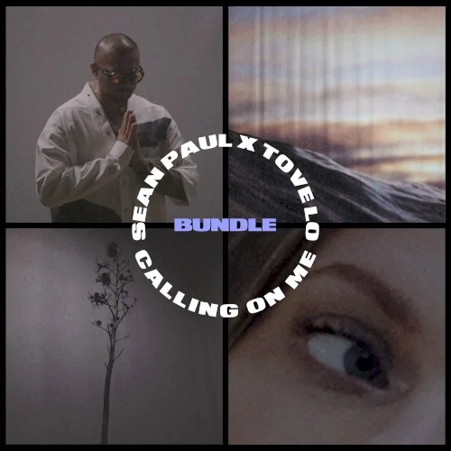 Calling on Me (bundle) remix album cover by Sean Paul, released March 27, 2020 on Island